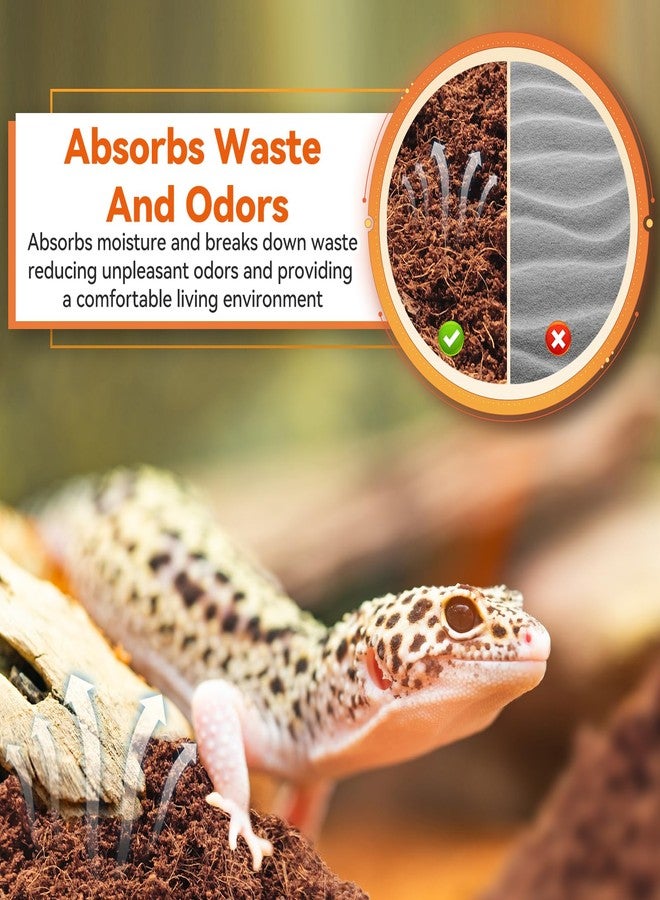 Legigo 2 Pack Compressed Coconut Fiber Substrate - 100% Organic Coconut Fiber Brick Bedding for Reptiles, Natural Coco Husk Substrate Terrarium Bedding for Snake, Hermit Crabs, Frogs, Tortoise, Gecko - Image 4